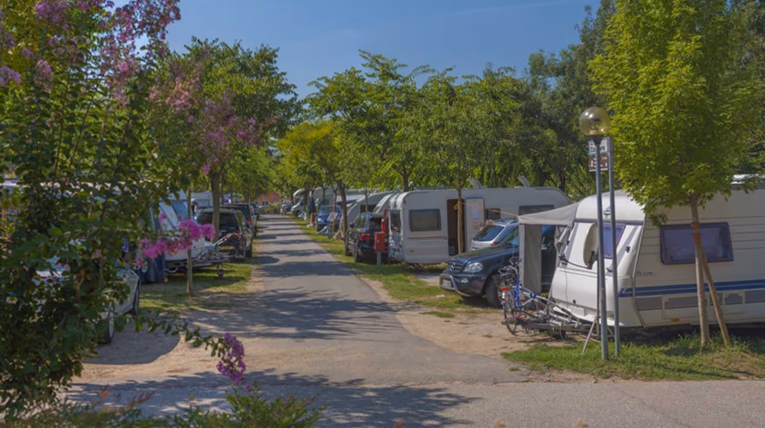 Laan met caravans en auto's onder jonge bomen op de kampeervelden van Camping Piani di Clodia